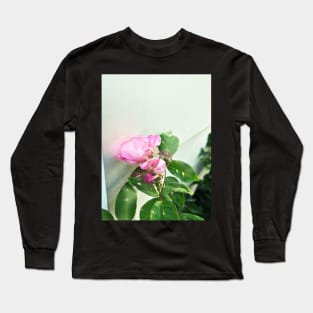 Waiting Rose Long Sleeve T-Shirt